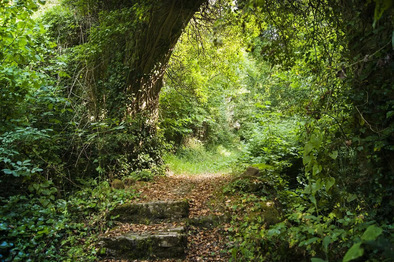 Secret Gardens Bed & Breakfast Borgomaro 0*,  Italy
