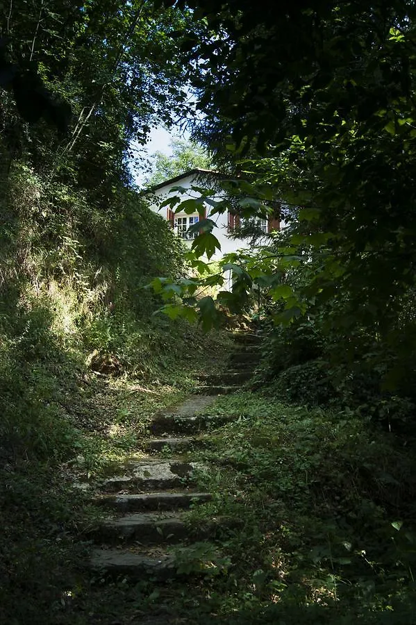 Secret Gardens Bed & Breakfast Borgomaro Italy